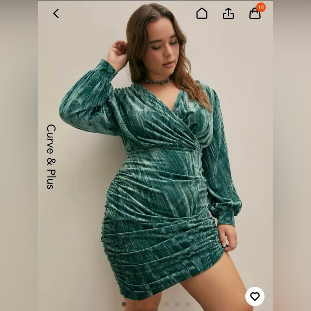 BNWT Cider Velvet Dress